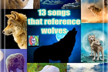 13 Songs That Reference Wolves [Photo Credit: Pixabay]