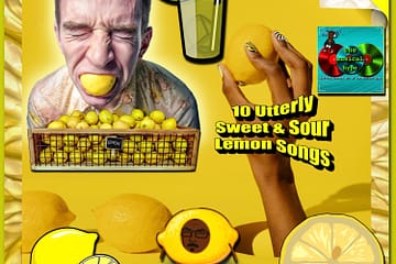 10 Utterly Sweet & Sour Lemon 🍋 Songs [📷: Brent Faulkner, The Musical Hype, Clker-Free-Vector-Images, cottonbro, OpenClipart-Vectors, Pexels, Pixabay, Quintin Gellar, Ryan McGuire, Stefan Schweihofer]