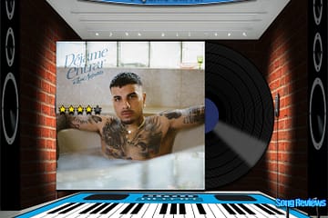 Rauw Alejandro, Déjame Entrar [📷: Brent Faulkner/The Musical Hype; Sony Music Entertainment US Latin LLC; Clker-Free-Vector-Images, Królestwo Nauki, OpenClipart-Vectors, Pete Linforth, Tumisu from Pixabay]